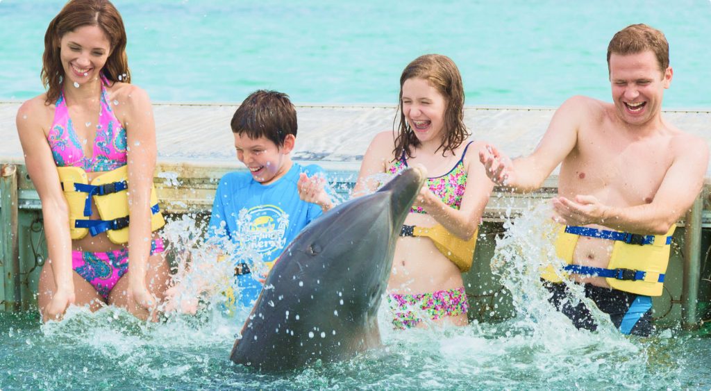 Tour Delfines (Dolphin Experience) — Kayoe Excursiones