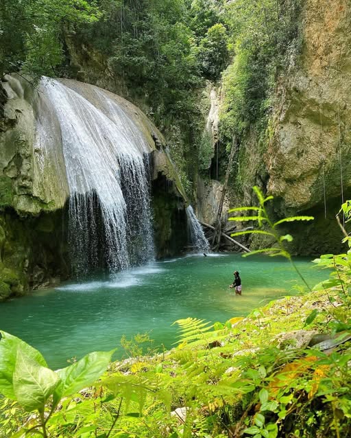 Tour Hongo Mágico — Kayoe Excursiones
