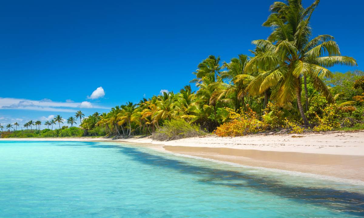 Tour Isla Saona — Kayoe Excursiones