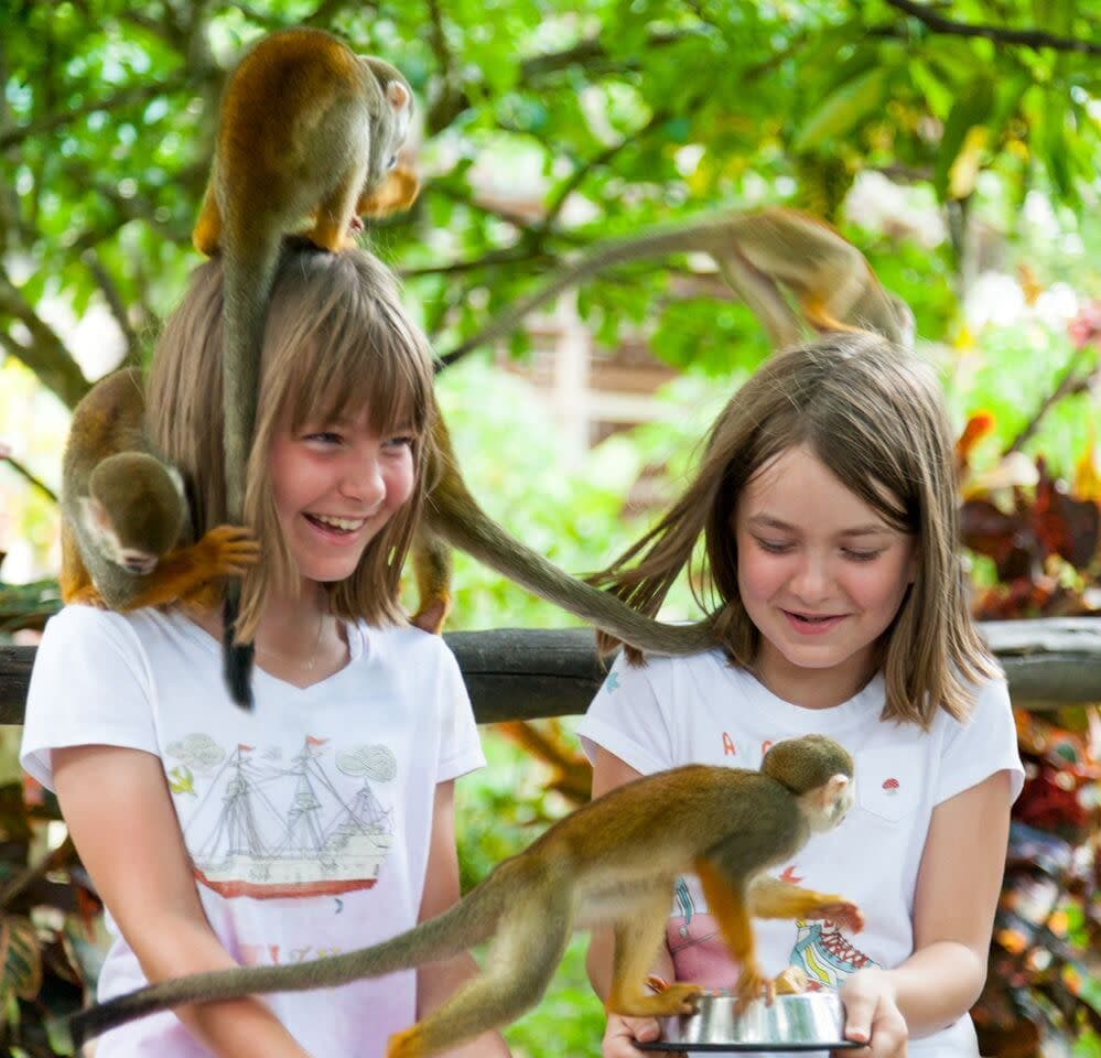 Tour Monkeyland — Kayoe Excursiones