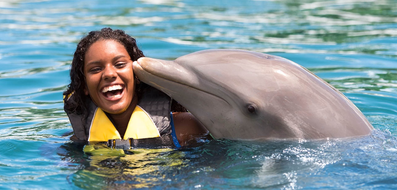 Tour Ocean World — Kayoe Excursiones