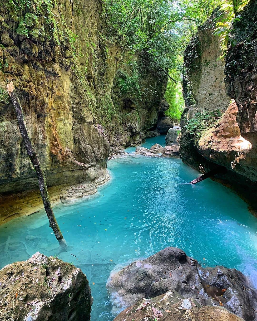 Tour Río Partido — Kayoe Excursiones